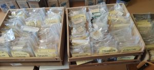 Tiroirs de la collection - 2021