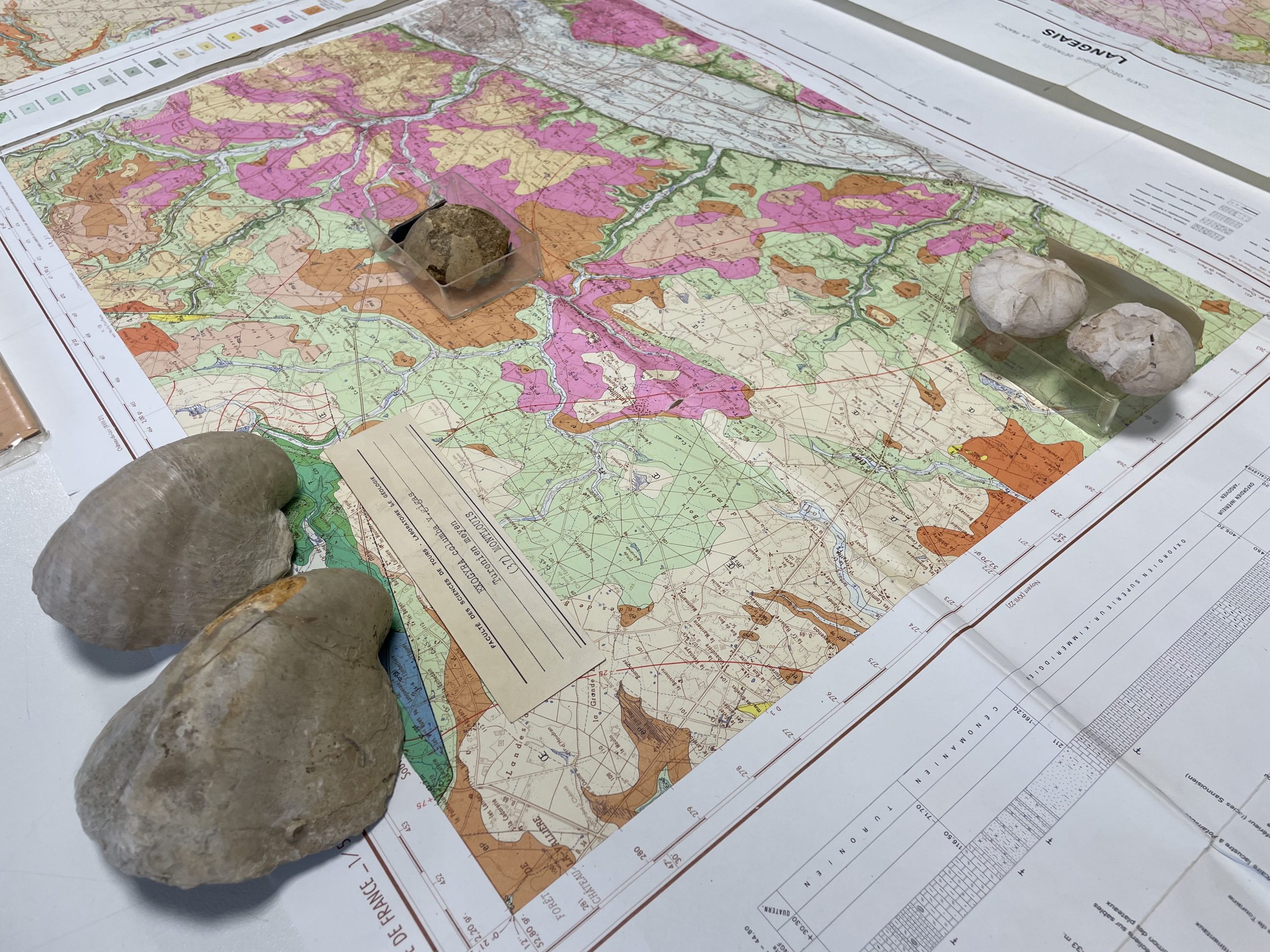 Localisation des fossiles sur les cartes géologiques JP0 2022