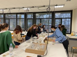 Rangement des fossiles de la collection - Journées portes ouvertes Faculté des Sciences et Techniques 2022