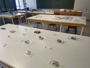 Journée Portes Ouvertes fossiles
