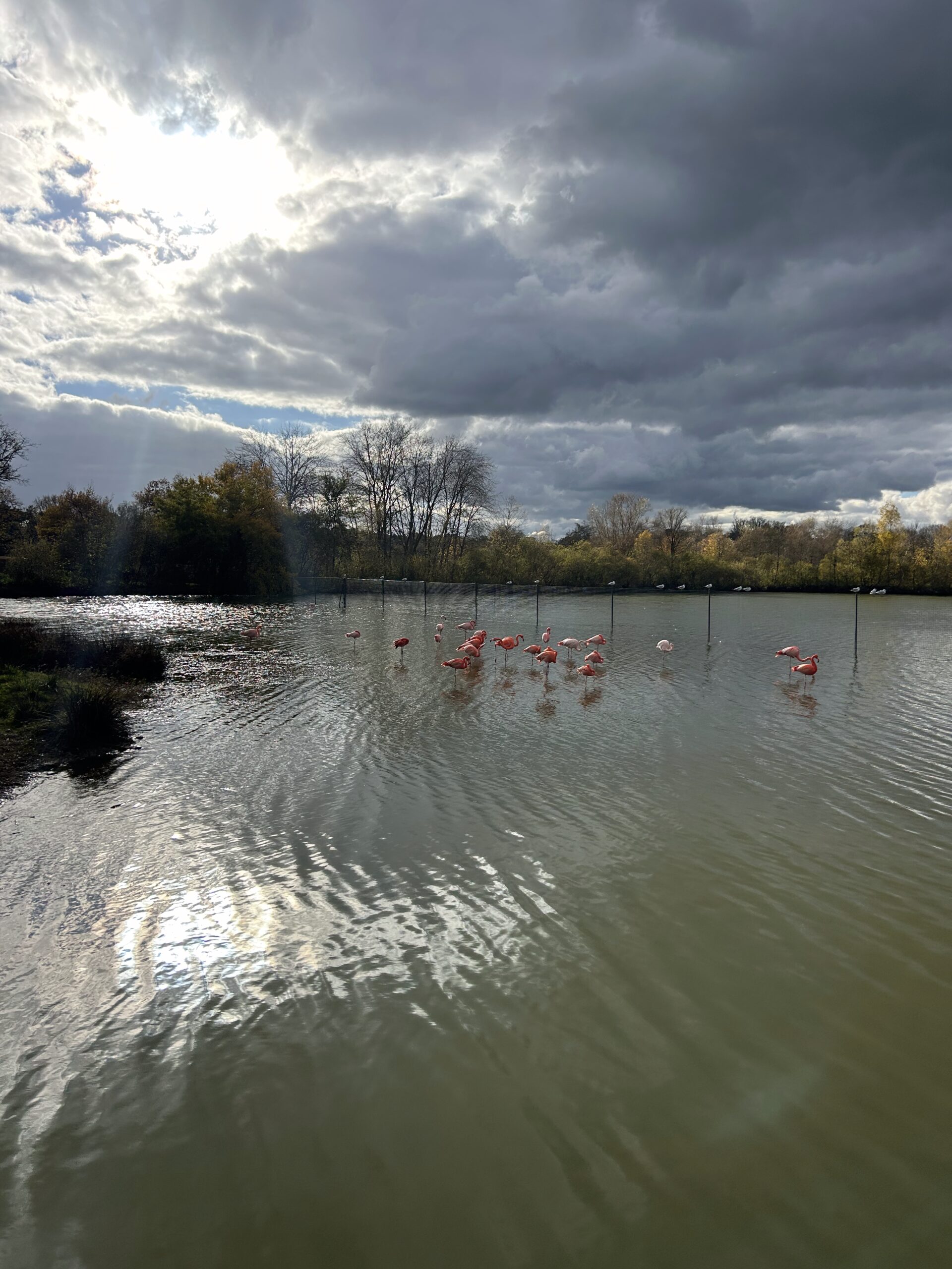 Lire la suite à propos de l’article Sortie à la haute touche