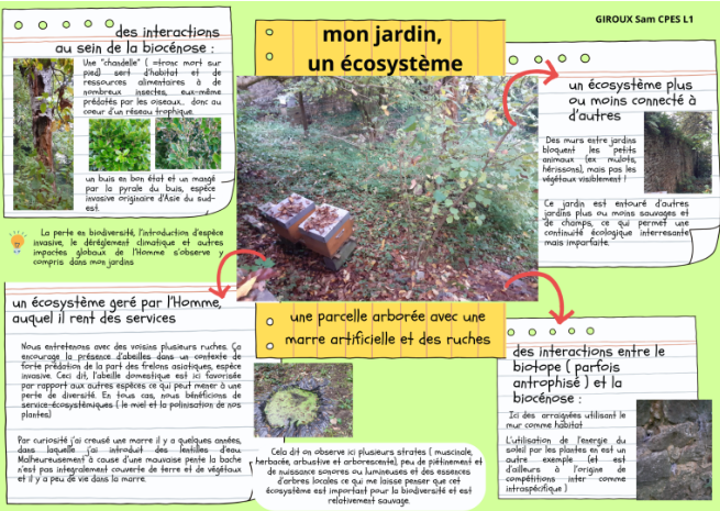 Lire la suite à propos de l’article Affiches écosystèmes