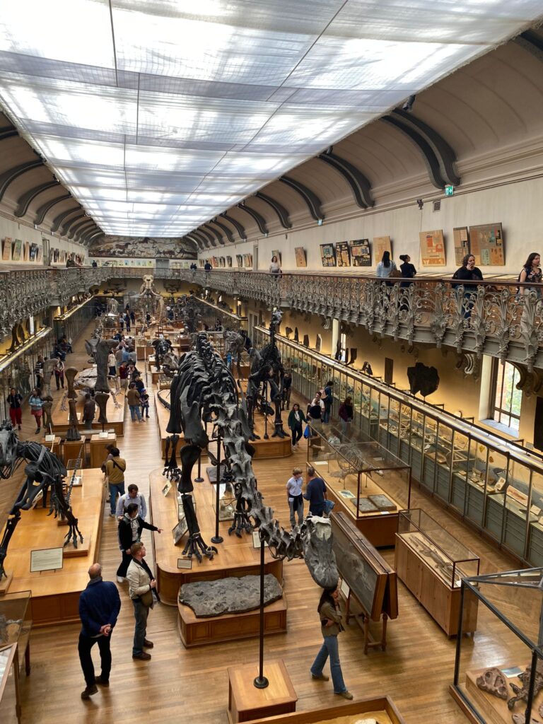 Lire la suite à propos de l’article Sortie au MNHN