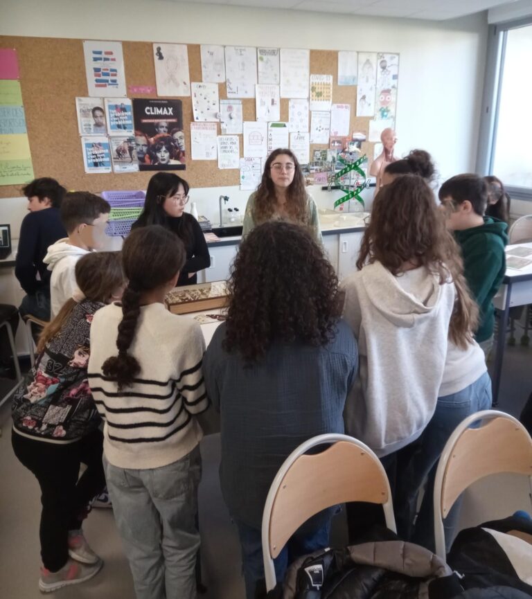 Lire la suite à propos de l’article Projet « La main à la pâte »