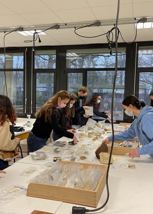 Rangement des fossiles de la collection - Journées portes ouvertes Faculté des Sciences et Techniques 2022